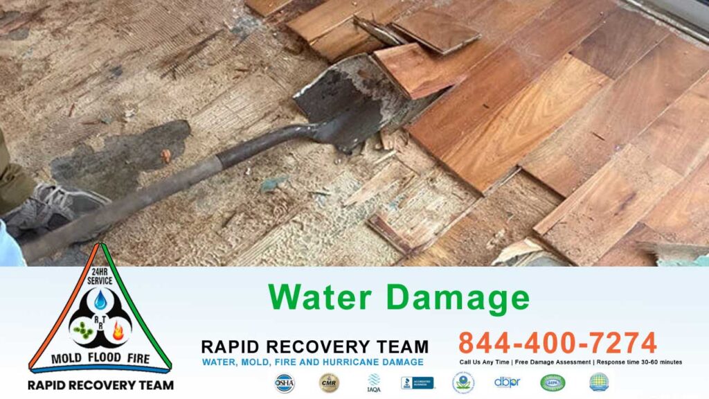 Recovering Your Property with Expert Water Damage Restoration Orlando Florida